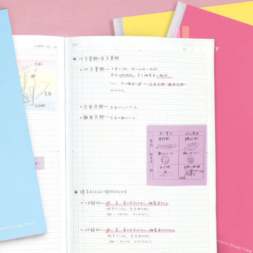 Sun Star Miori Study B5 Ruled Notebook - Image 26
